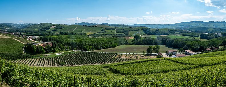 Langa of Barolo Landscape